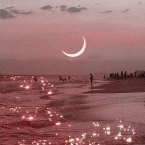 Meet your Posher, Lizette